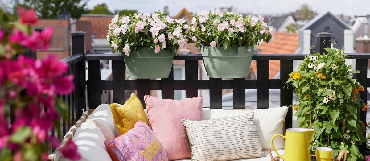 De mooiste planten voor op jouw balkon