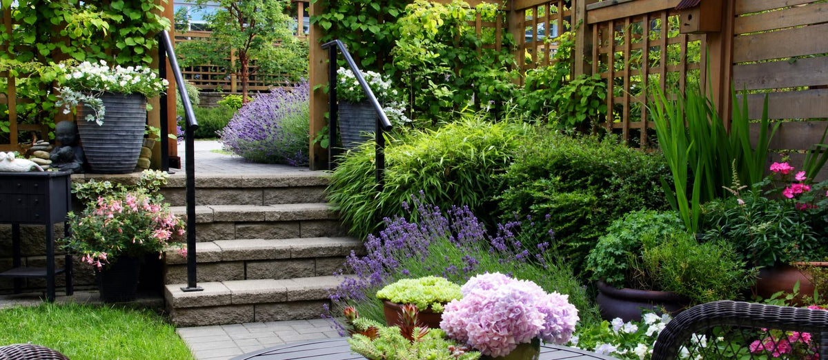 Top 10 snelgroeiende tuinplanten