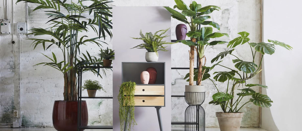 Kunstplanten: voor iedereen met iets minder groene vingers
