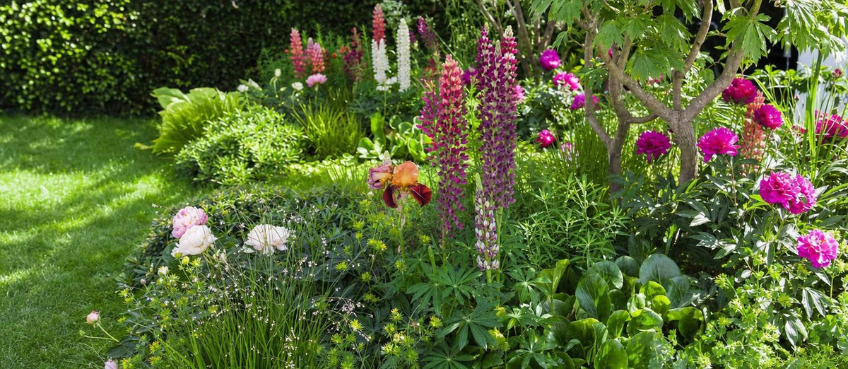 Hoe worden biologische planten gekweekt?