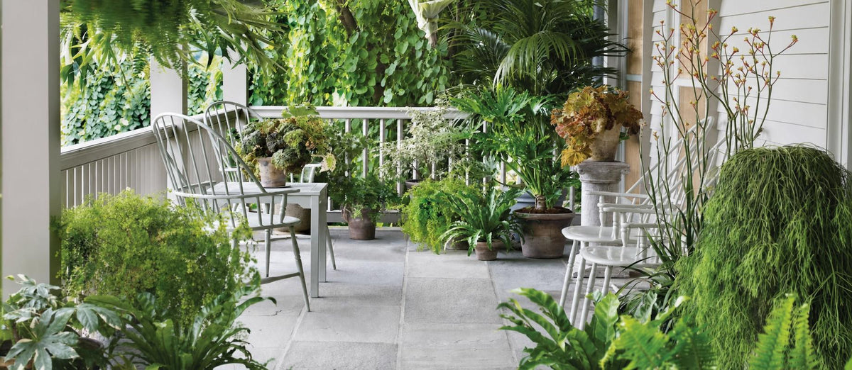 Hoe maak je een urban jungle van jouw achtertuin?