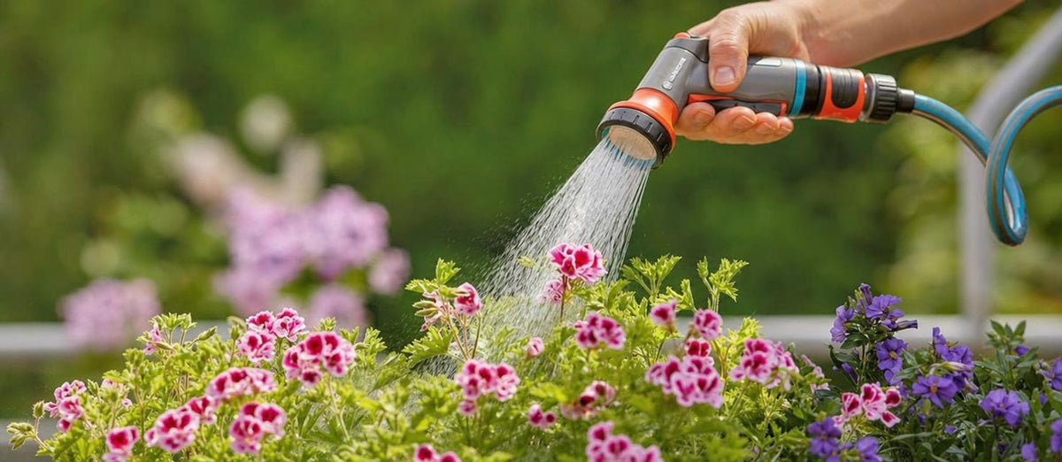Bewateren in de zomer