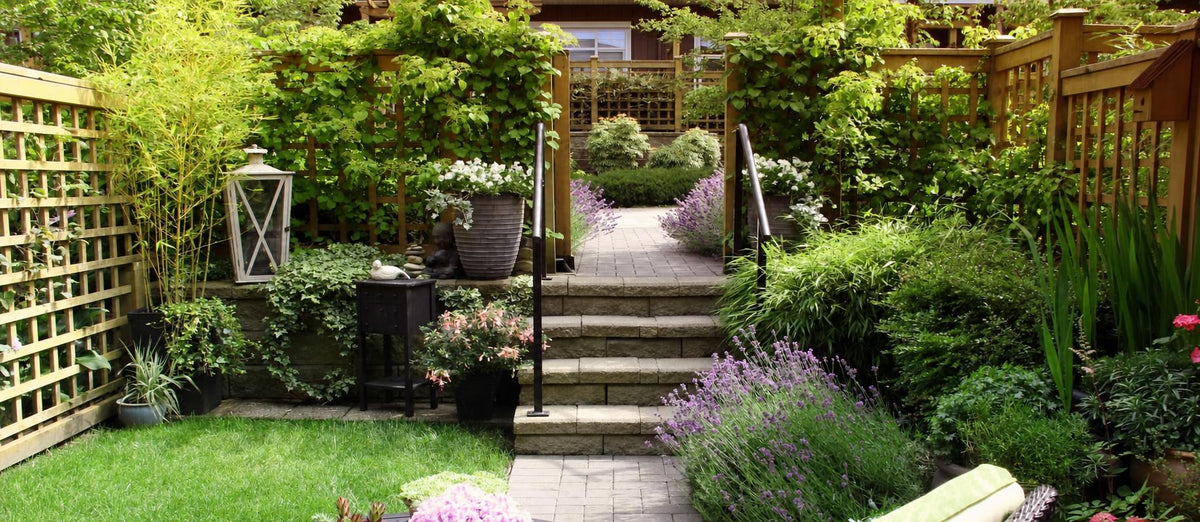 De groene en gekleurde tuinomheiners: hagen/heesters en klimplanten