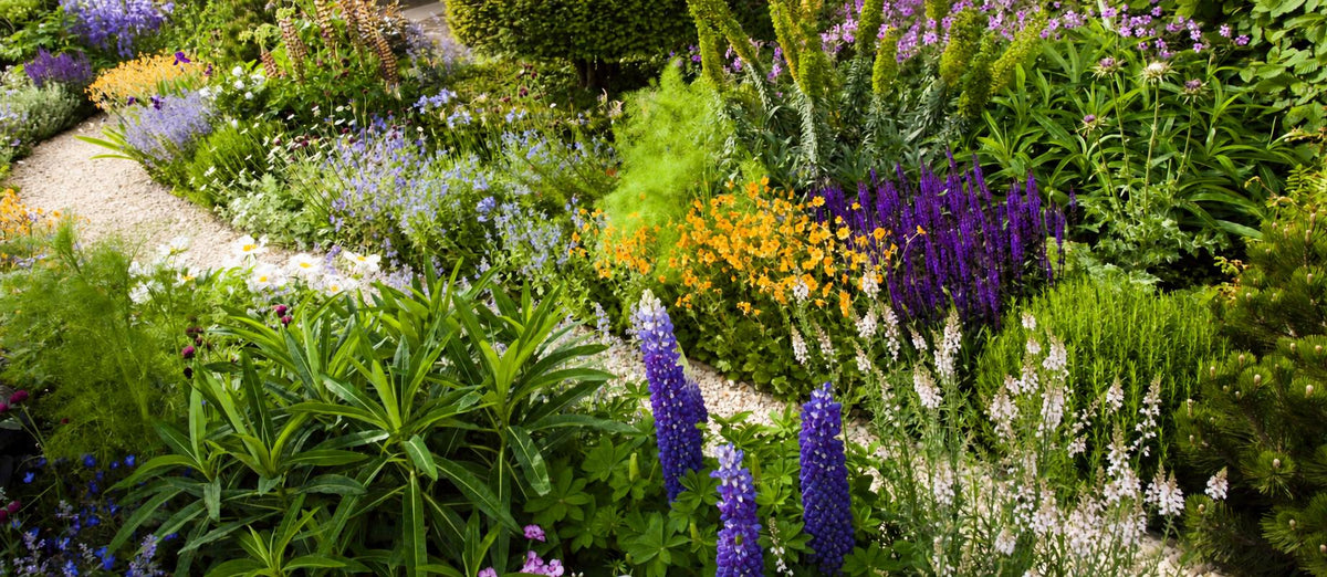 De Bohemian border