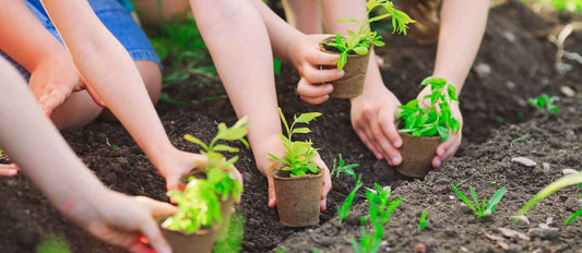 5 nieuwe groene hobby’s voor jouw kinderen