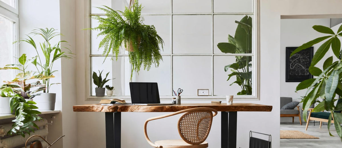 Spelen met groen in kleinere ruimtes in huis