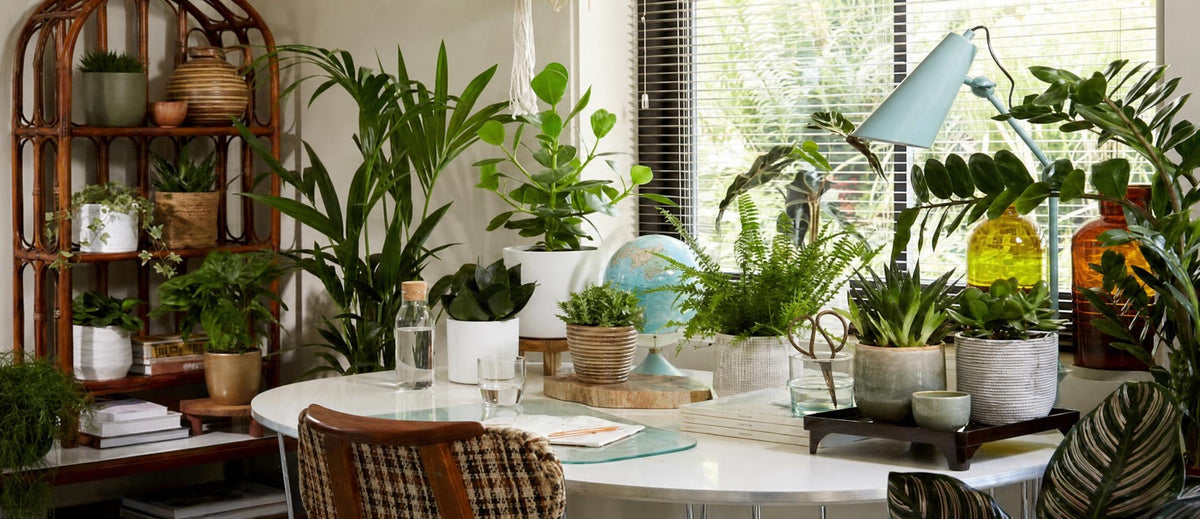 Kleur alle kamers in huis groen