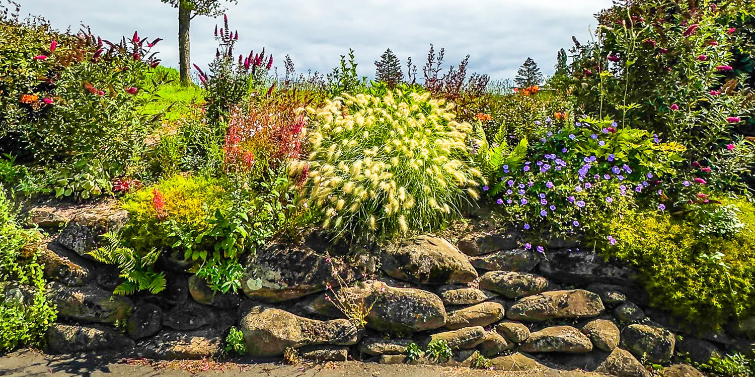 De Green Days gaan door tot -50%! 