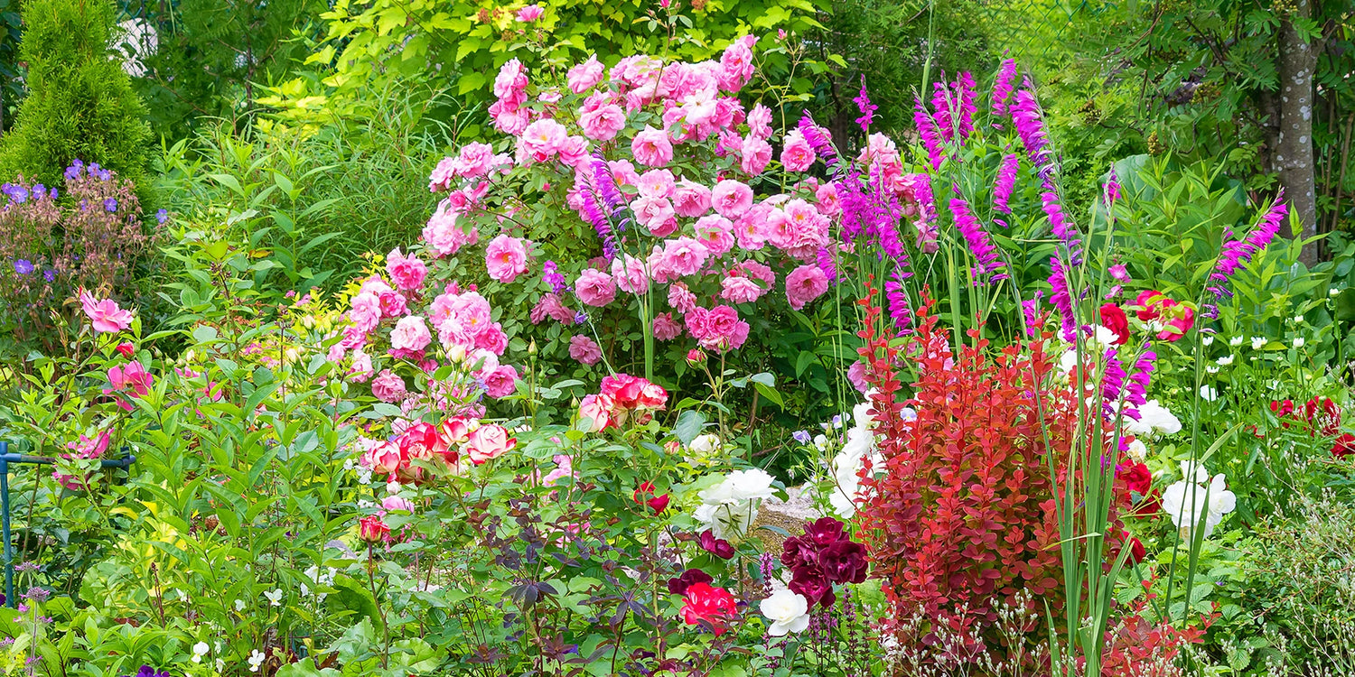 Wintersale met kortingen tot 60%: laatste kans!