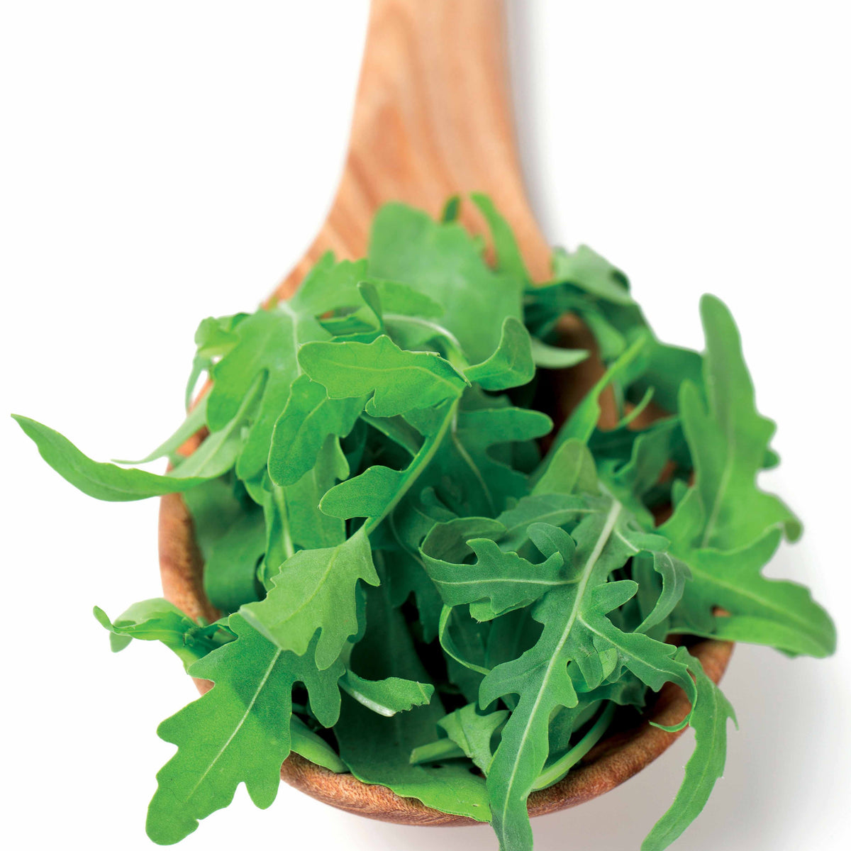 Eruca sativa - Rucola - Slazaden