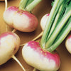 Raap 'Milanese Witte Roodkop' - Brassica rapa de milan à collet rose - Moestuin