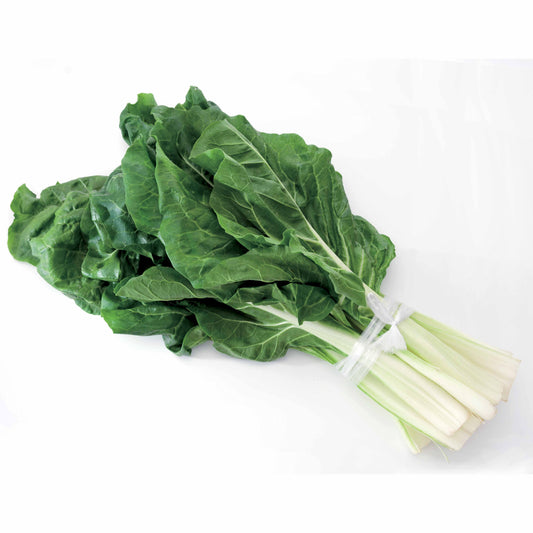 Snijbiet - Beta vulgaris cicla verte à cardes blanches 2 - Zaden