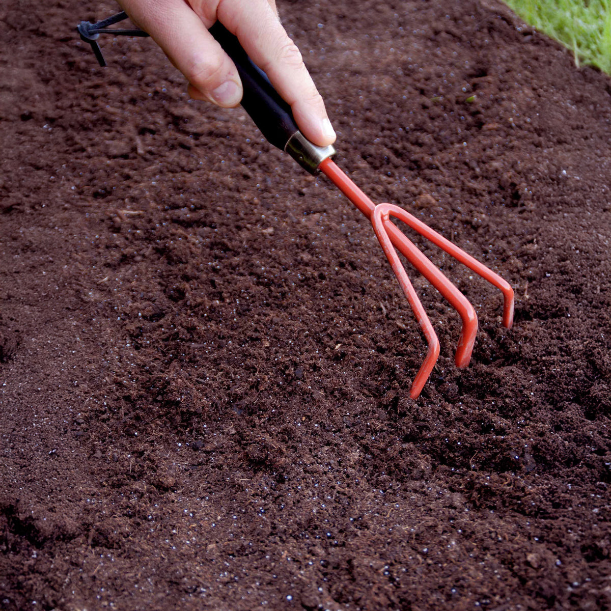 Geurig bloementapijt Mix -  - Bakker