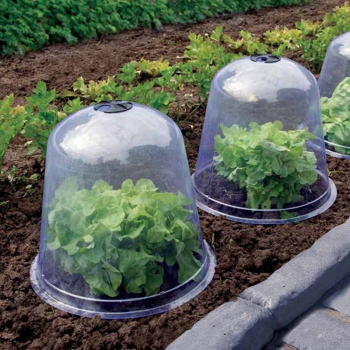 Set van 3 plantenstoplen - Bakker