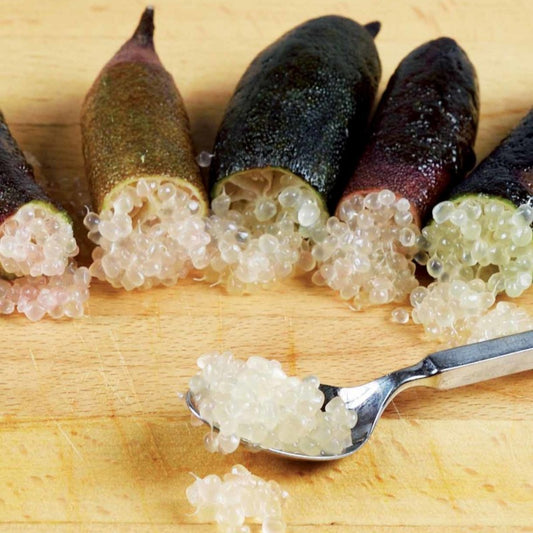 Vingerlimoen - Bakker