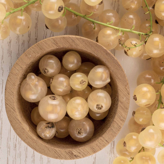 Witte aalbes 'White Pearl' - Ribes rubrum white pearl - Bessen