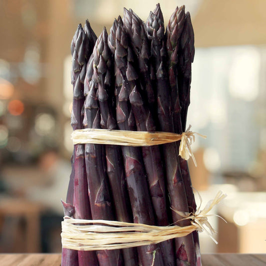 Paarse asperge 'Rosalie' - Bakker