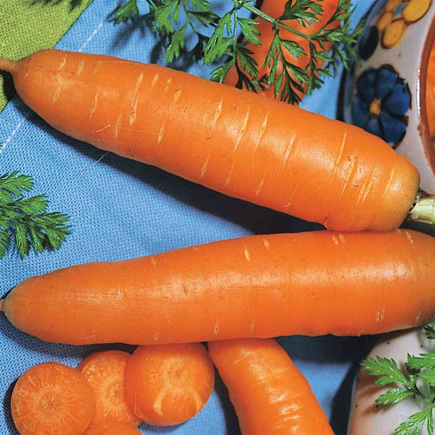 Wortel Mix 'Naintaise' + 'Carentan' + 'Comar' - Collection de carottes: 40g Nantaise, 5gCarentan, 5 g Colmar - Zaden