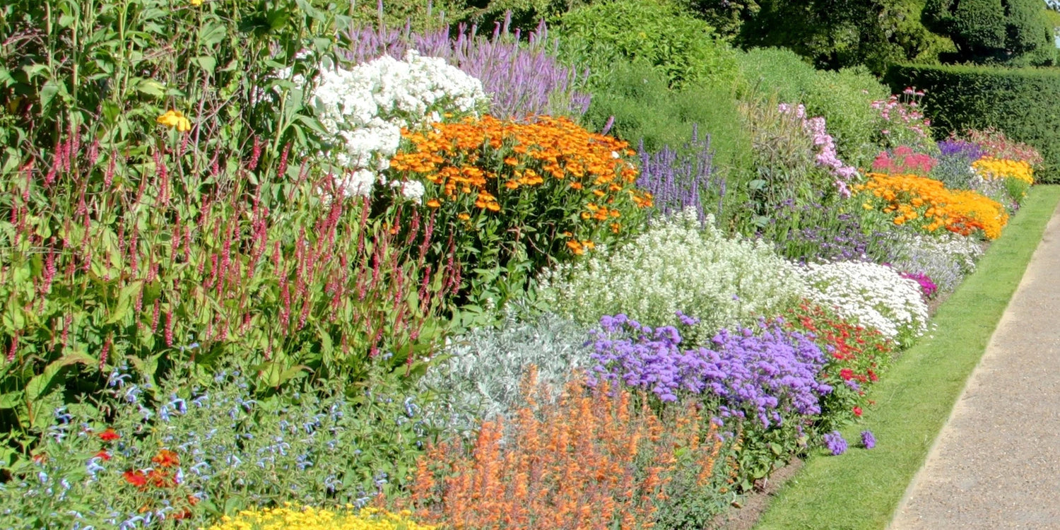 Kleurrijke bloemperken tot 30% korting