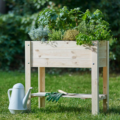 Moestuin