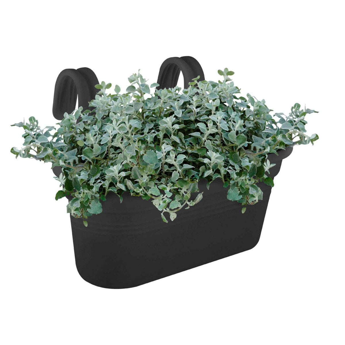 - Elho Balkonbak Green Basics easy hanger ovaal - zwart - Bloem- en plantenbakken