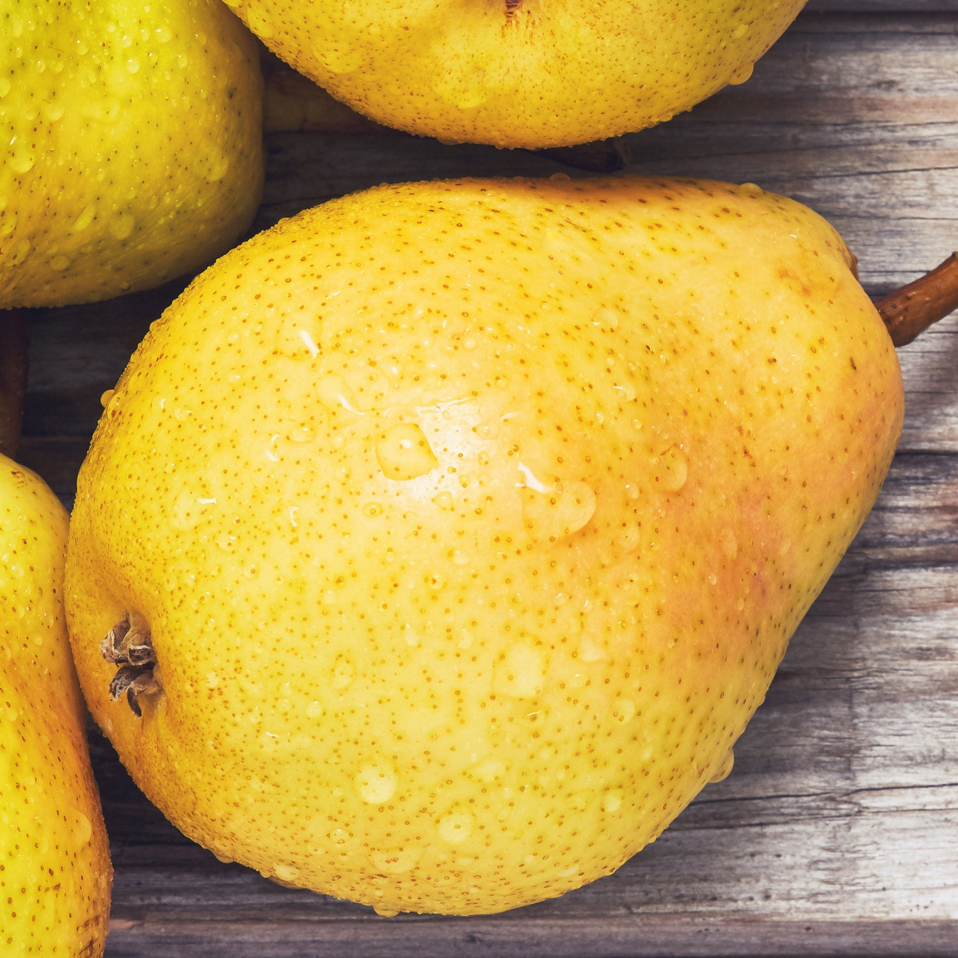 Verkoop Perenboom 'Williams'