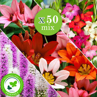 Bloembollen - Mix 'For Bees & Butterflies' (x50) - Gladiolus nanus, sparaxis, liatris spicata - Specialiteiten