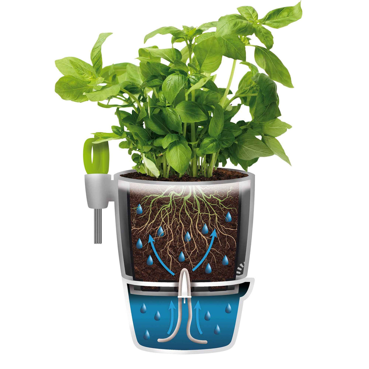 Elho kruidenpot Brussels Herbs all-in-1 -  - Bakker