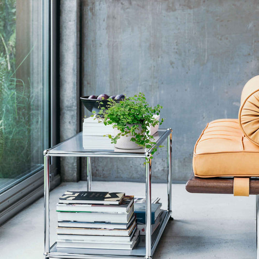 Klimvijg 'White Sunny' - Bakker