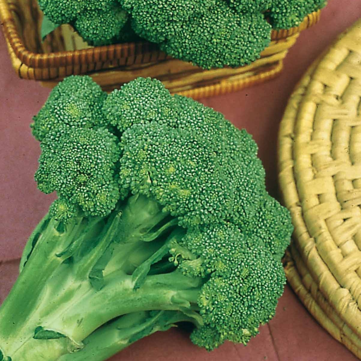 Koolzaden - 300 Broccoli zaden - Brassica oleracea calabrese natalino