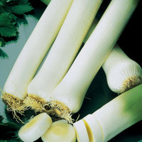 Fruit- en groentezaden - Prei 'Carentan 2' - Allium porrum monstrueux de carentan 2 (30 g)