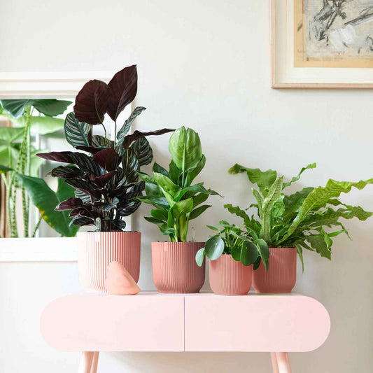 Bloempot Elho vibes fold rose - Bakker