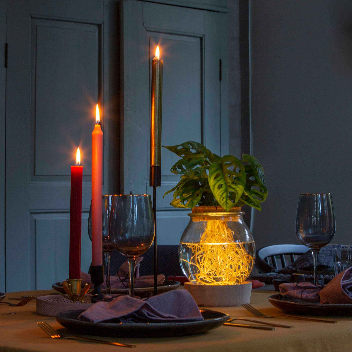 Monstera in Bolglas met ledverlichting - Hydroponie - Monstera - Bakker