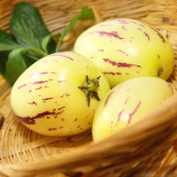 Pepino - Solanum muricatum
