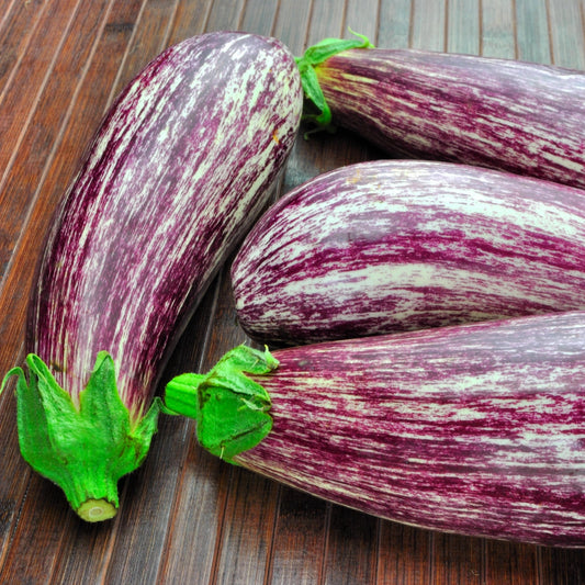 Aubergine 'Listada de Gandia'