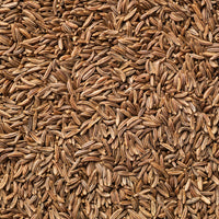 Komijn - Cumin - Bakker