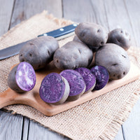 Solanum tuberosum bleue d'artois ® (bleue de la man - Aardappel 'Bleue de la Manche' (x10) - Aardappelplanten