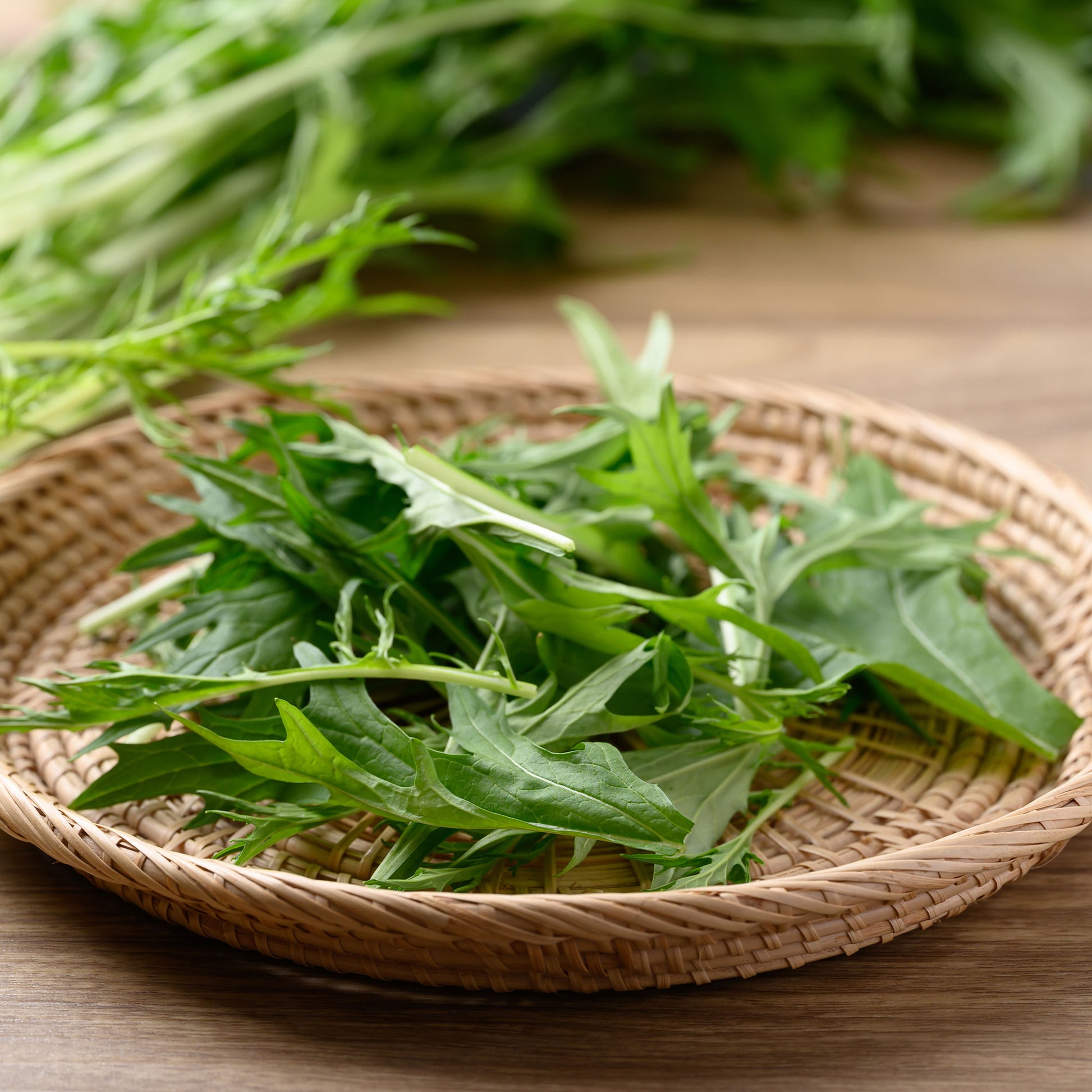 Brassica rapa japonica mizuna - Raapsteel 'Mizuna' - BIO - Koolzaden