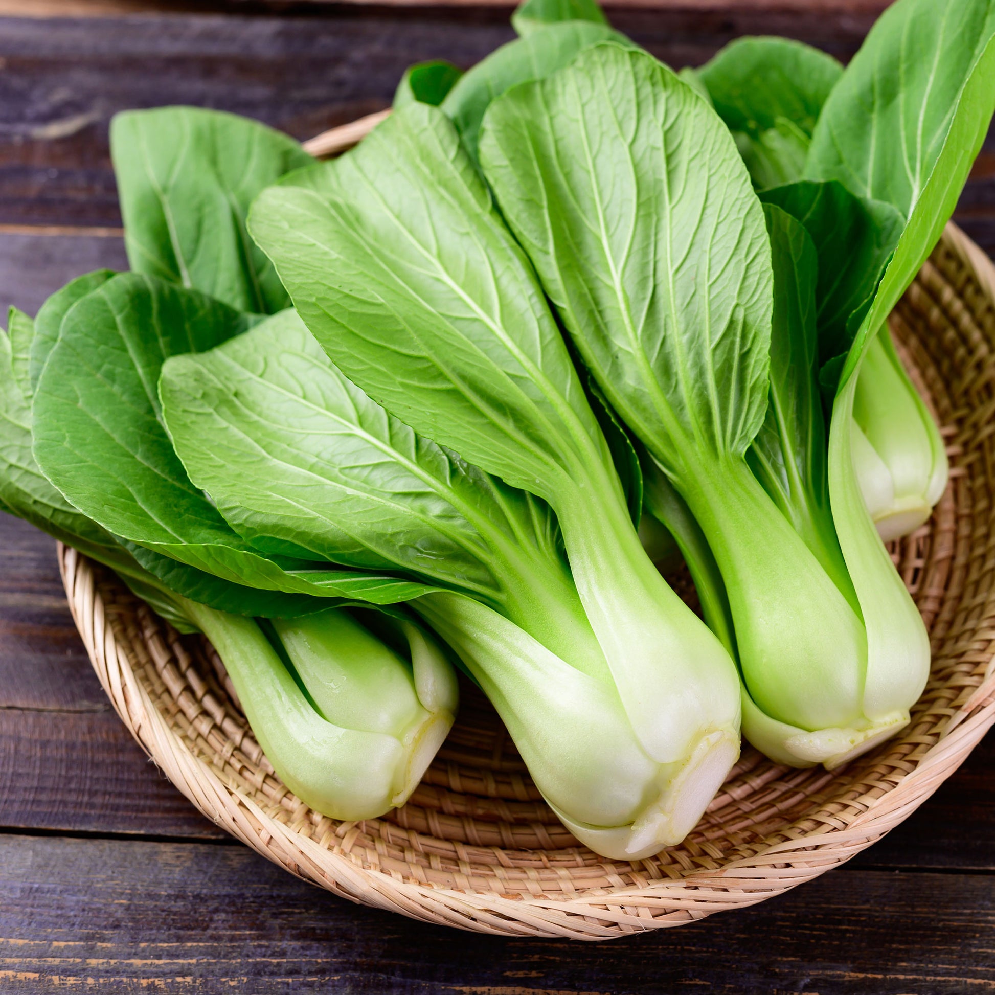Paksoi 'Green Fortune' - Bakker