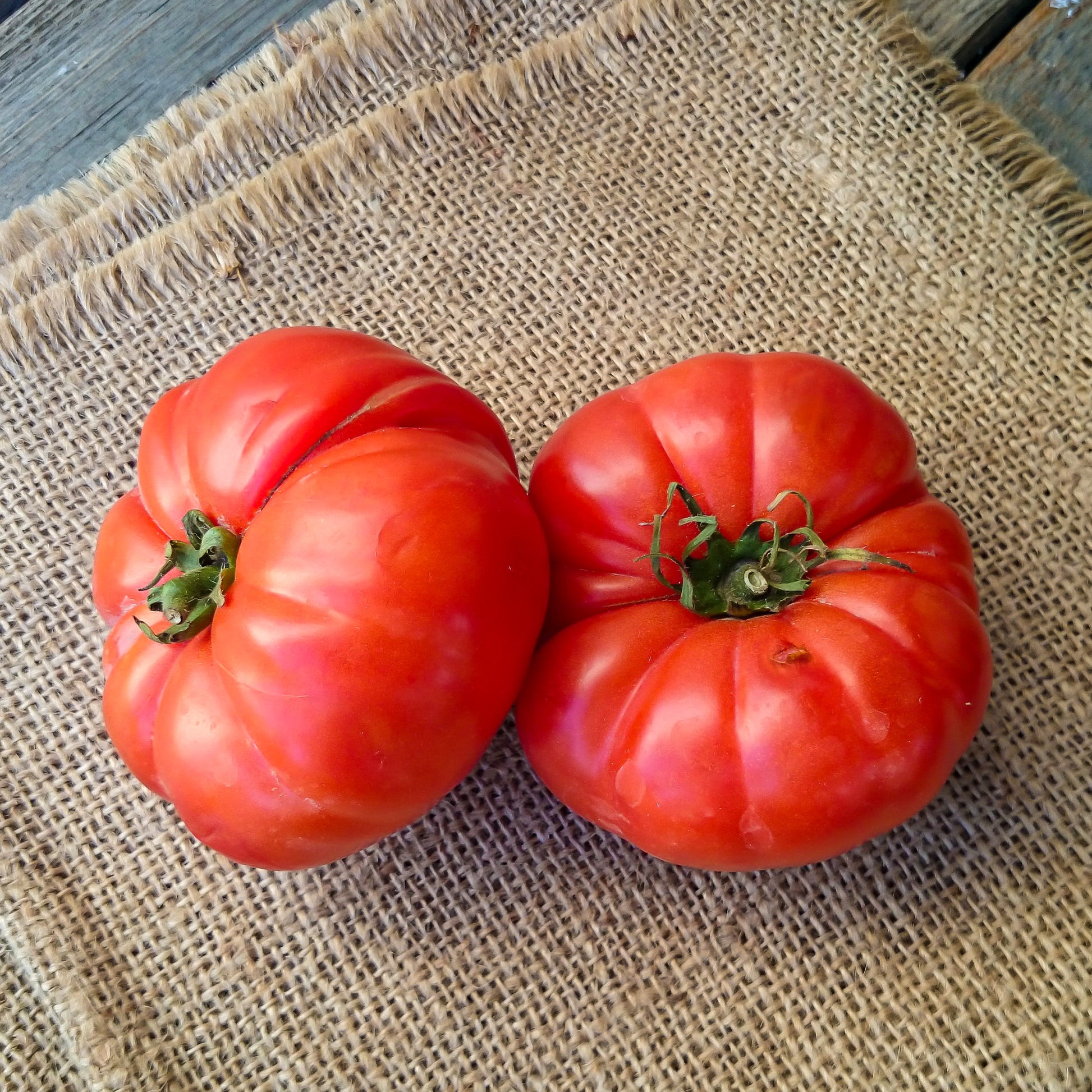 Solanum lycopersicum marmande - Tomaat 'Marmande' zaden - Tomatenzaden