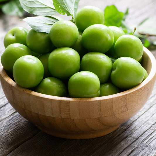 Pruimenboom 'Reine-Claude Vert'