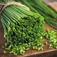 Kruidenzaden - Kruiden Mix 'Peterselie, Basilicum, Kervel, Bieslook' - Collection de fines herbes (persil, basilic, cerfeuil, ciboulette)