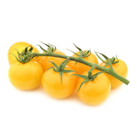 Solanum lycopersicum cocktail raisins jaunes - Tomaten pakket Solanum 'Toffe Tomaten' - Groentezaden - Tomatenzaden