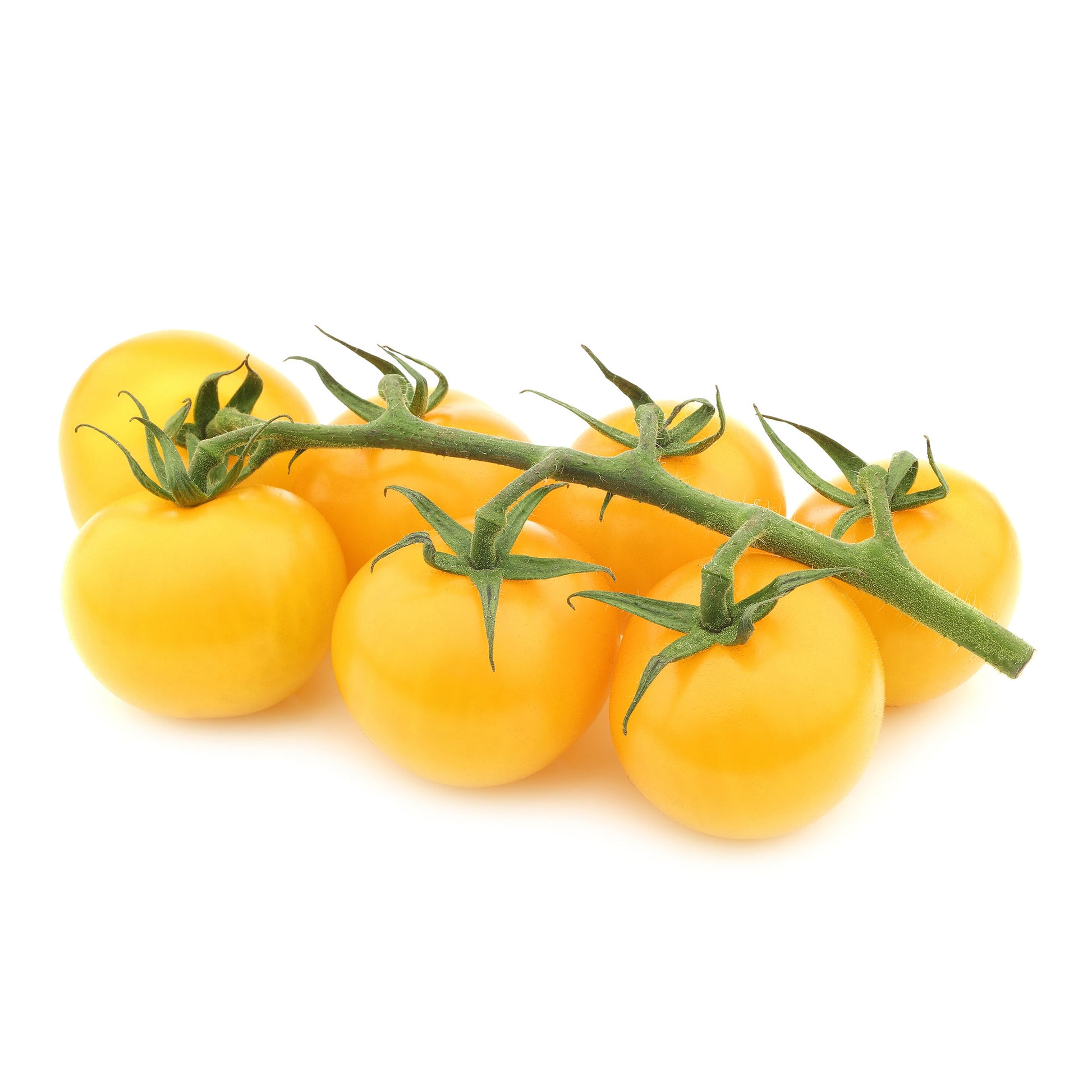 Solanum lycopersicum cocktail raisins jaunes - Tomaten pakket Solanum 'Toffe Tomaten' - Groentezaden - Tomatenzaden