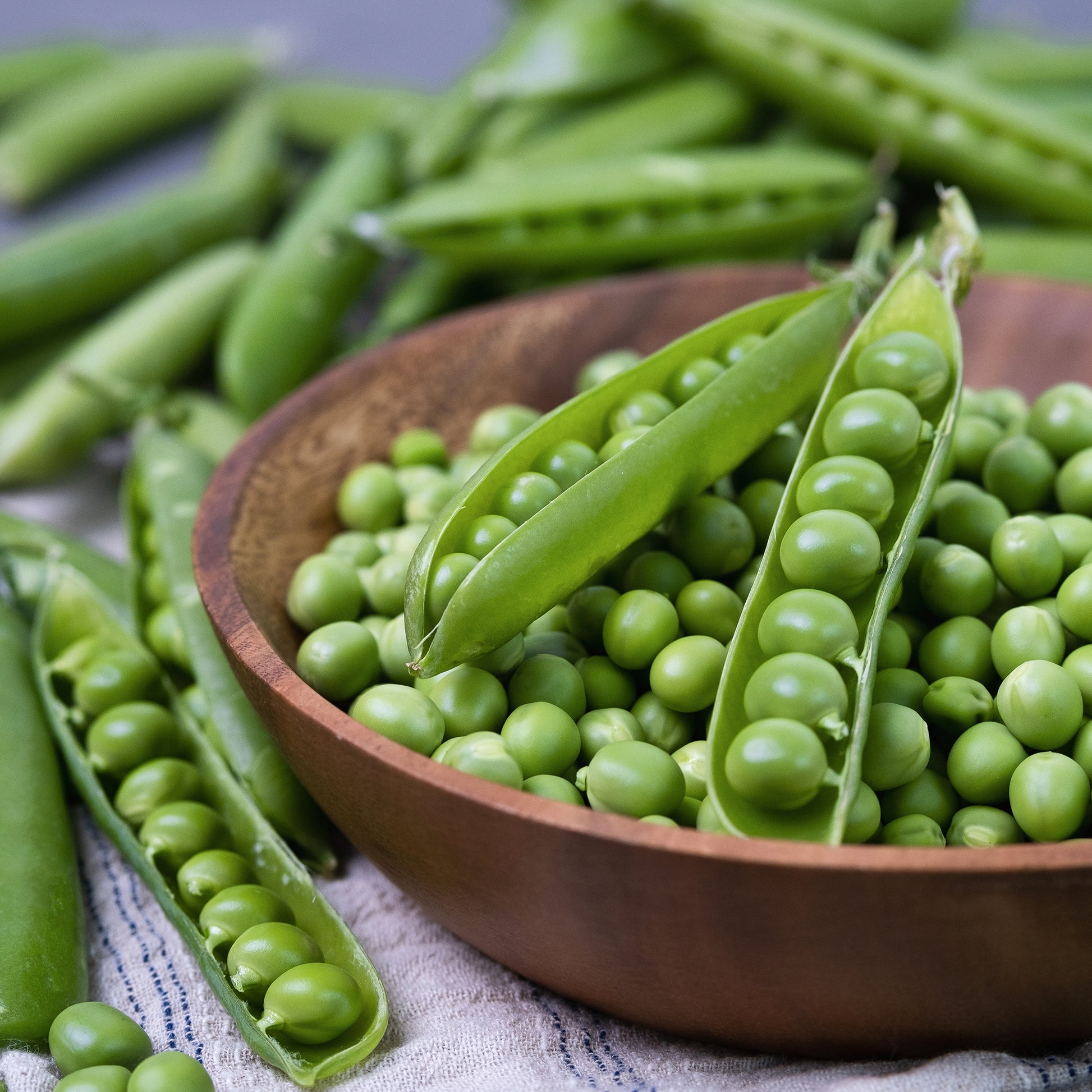 Erwt Plein le panier - Bakker