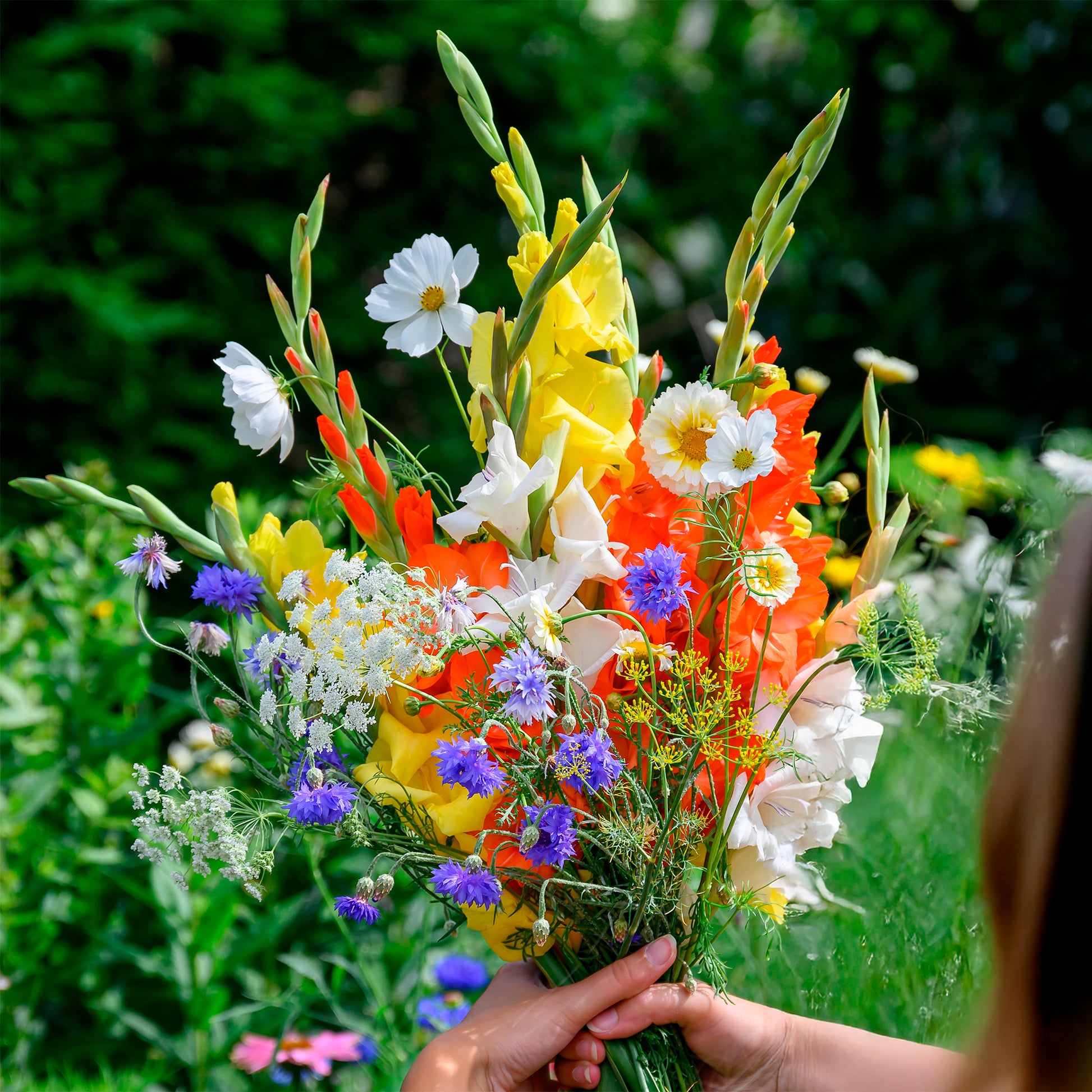 Gladiolen en veldbloemen Mix - Gladiolus - Bakker