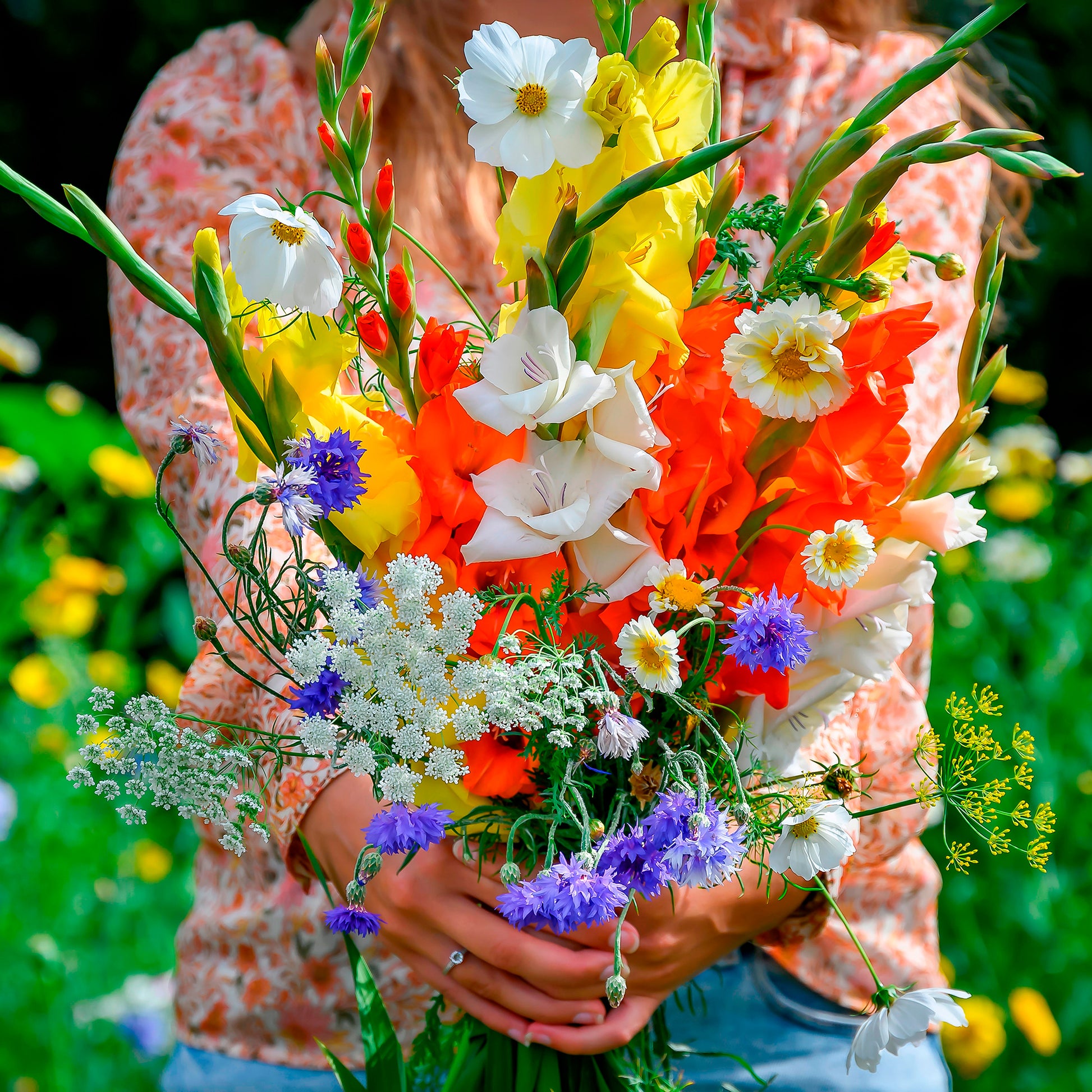 Gladiolus - Gladiolen en veldbloemen Mix - Gladiolen