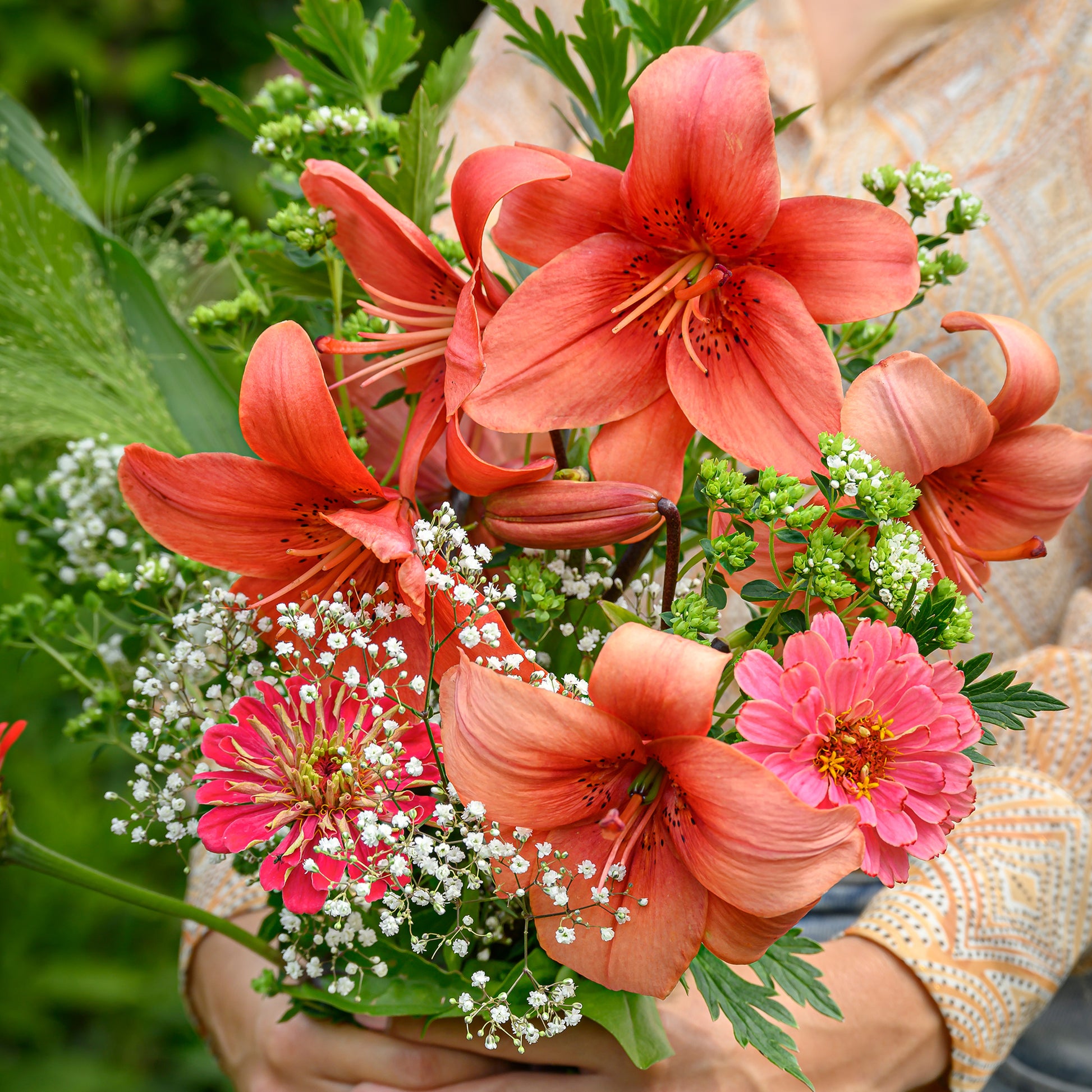 Lelie - Aziatische lelies en veldbloemen Mix - Lilium asiaticum red