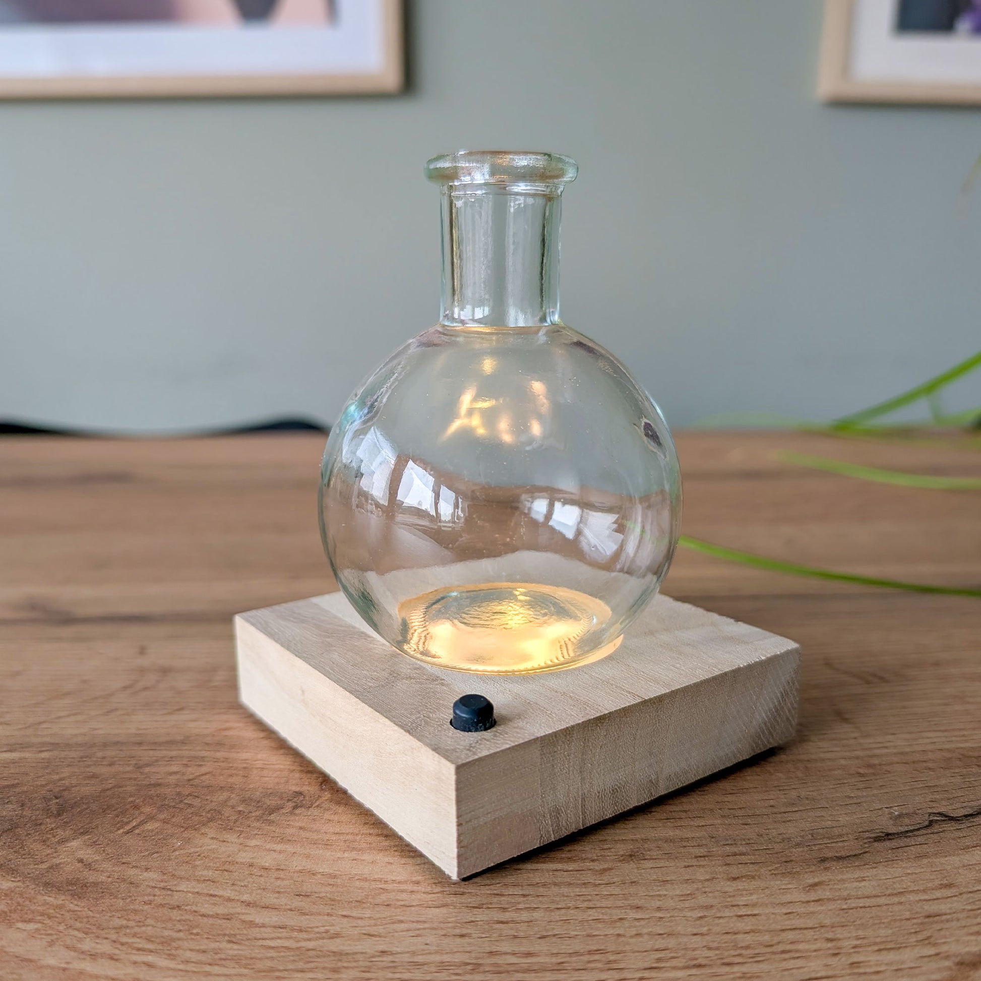Hydro vaasje 'Samoa' + LED verlichting - Bakker