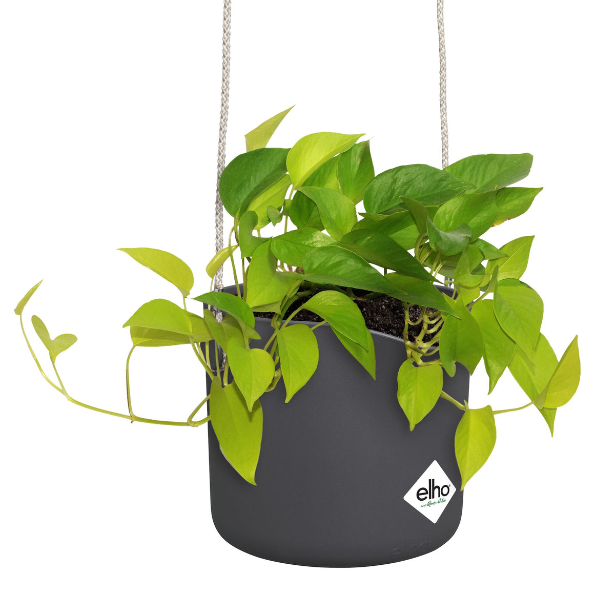 Verkoop Hangpot B voor swing grijs ELHO